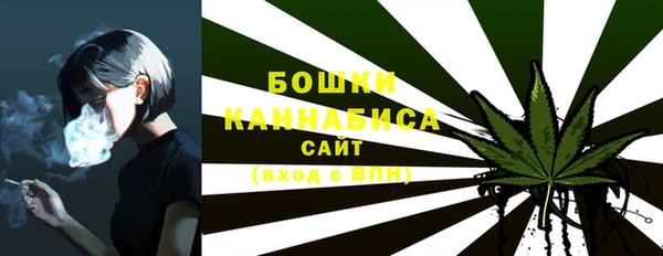 a pvp Лиски