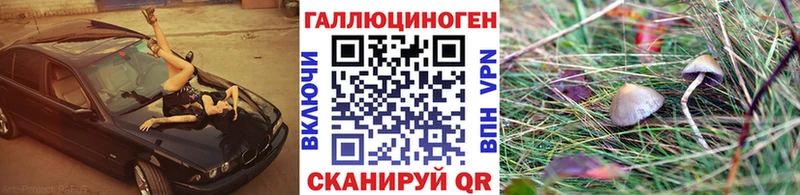 Псилоцибиновые грибы Magic Shrooms Медвежьегорск