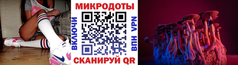 Галлюциногенные грибы Psilocybine cubensis  Купить где  Медвежьегорск 