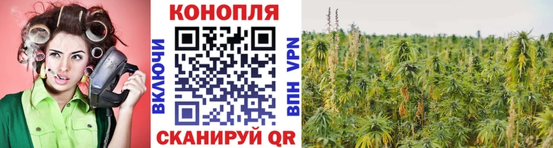 Купить где Медвежьегорск Бошки марихуана AK-47